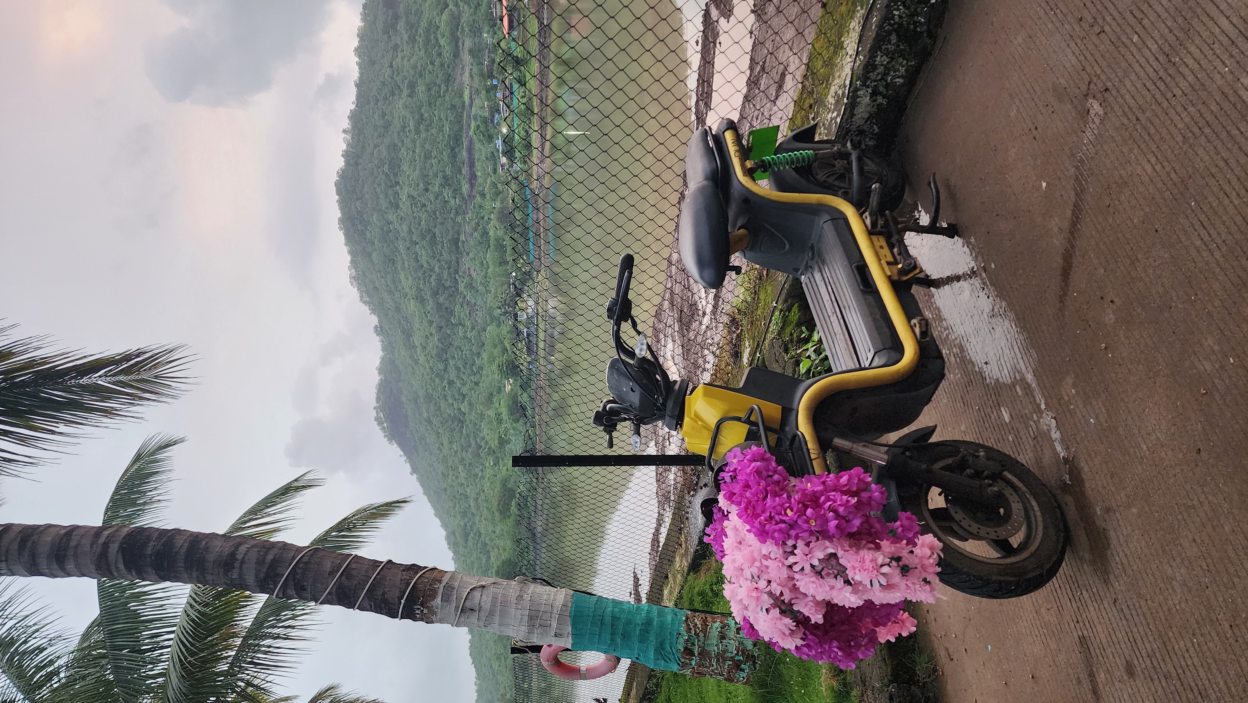 Resort Landscape Snapshot